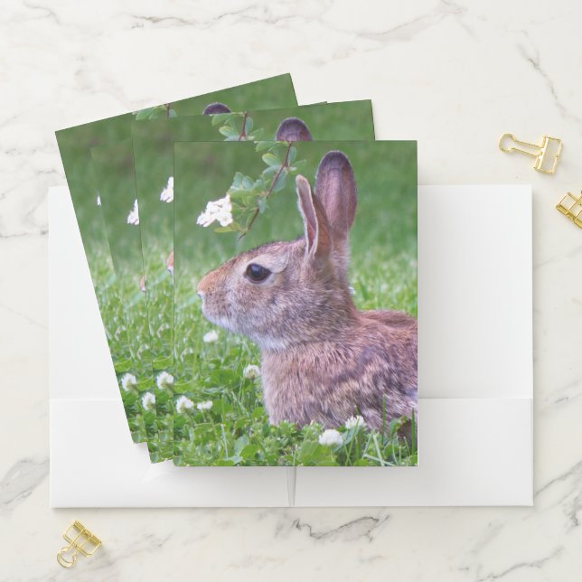 Bunny Rabbit in Grass Spring Animal Photography Pocket Folder (In Situ)