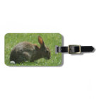 Bunny Rabbit Luggage Tag