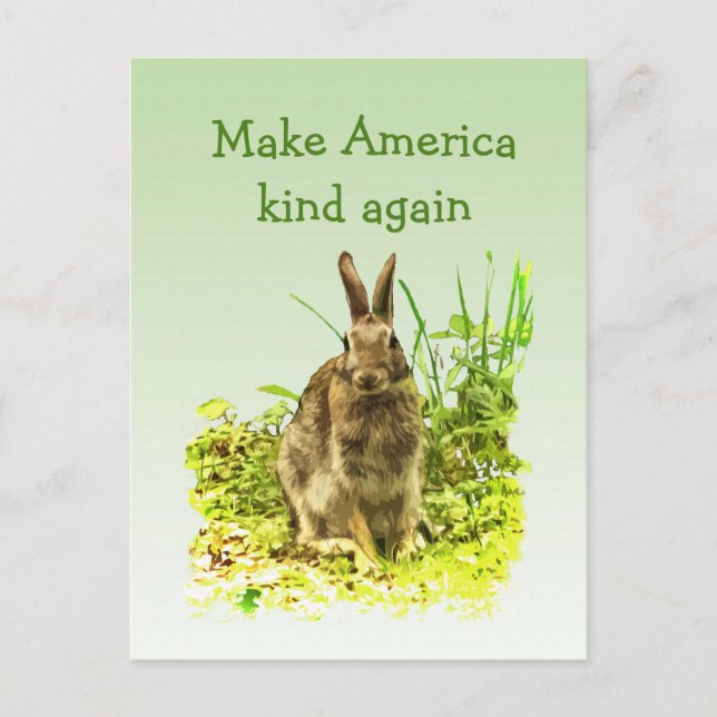 Bunny Rabbit Make America Kind Again Postcard (Front)
