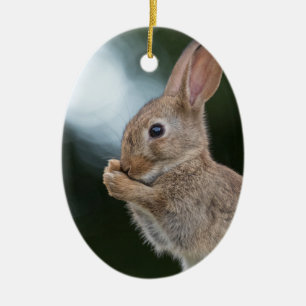 Bunny Rabbit Nature Photo Ceramic Ornament