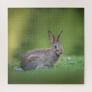 Bunny Rabbit Nature Photo Jigsaw Puzzle