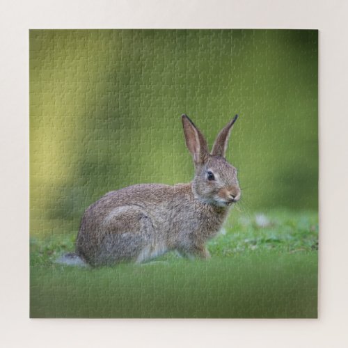 Bunny Rabbit Nature Photo Jigsaw Puzzle