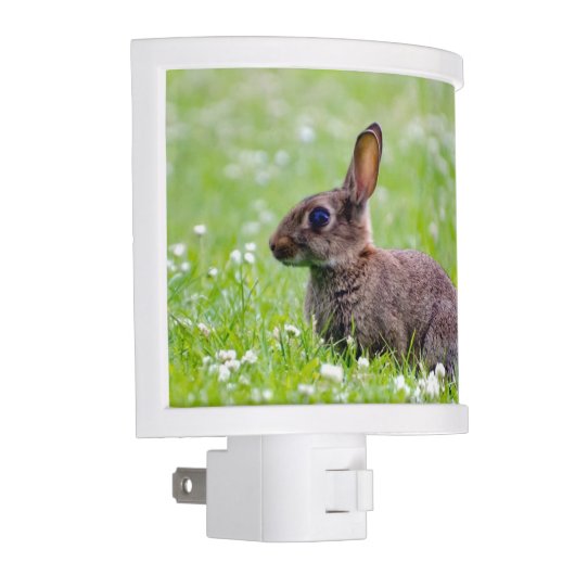Bunny Rabbit Night Light (Right)
