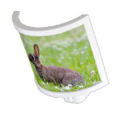 Bunny Rabbit Night Light (Angled)