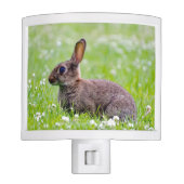 Bunny Rabbit Night Light (Front)