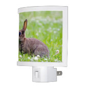 Bunny Rabbit Night Light (Left)