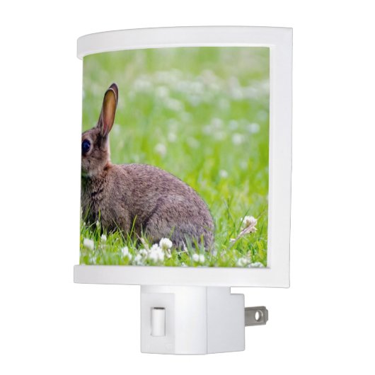 Bunny Rabbit Night Light (Left)