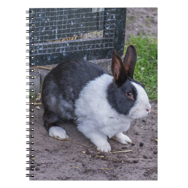 Bunny rabbit notebook (Front)