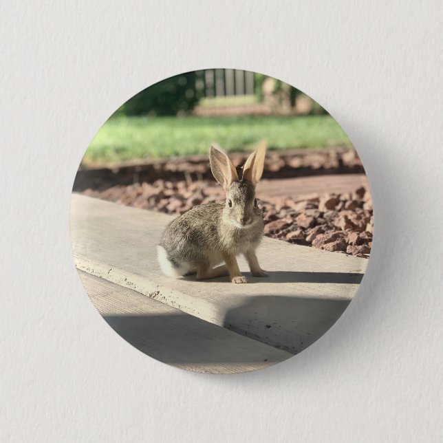 bunny rabbit photo Easter spring Button (Front)