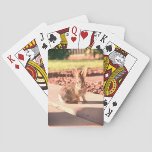 bunny rabbit photo Easter spring Poker Cards