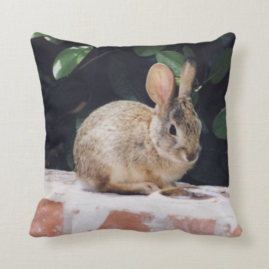 bunny rabbit cuddly pillow