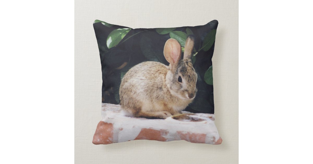 pier one bunny pillow