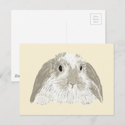 Bunny Rabbit Postcard | Zazzle