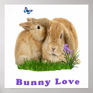 Bunny rabbit poster