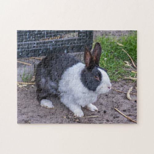 Bunny rabbit puzzle