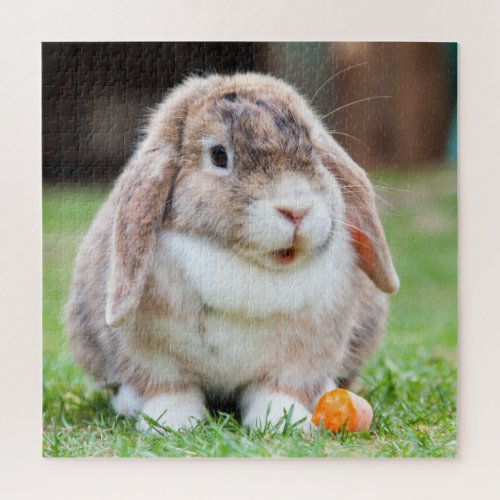 Bunny Rabbit Puzzle