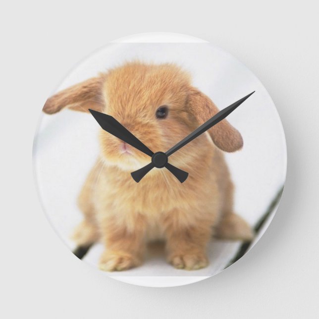Bunny Rabbit Round Clock (Front)