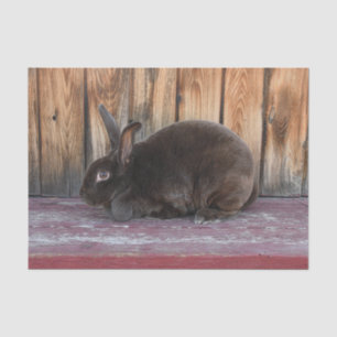 Bunny Rabbit Rustic Brown Country Farm Tissue Paper
