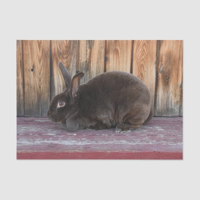 Bunny Rabbit Rustic Brown Country Farm Tissue Paper (Front)