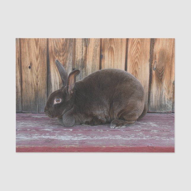 Bunny Rabbit Rustic Brown Country Farm Tissue Paper (Front)