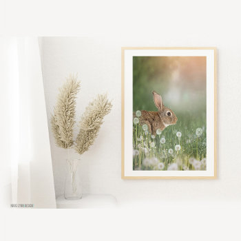Bunny Rabbit Sitting In Dandelion Field Girls Room Photo Print by nikkilynndesign at Zazzle
