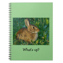 Bunny Rabbit Spiral Photo Notebook