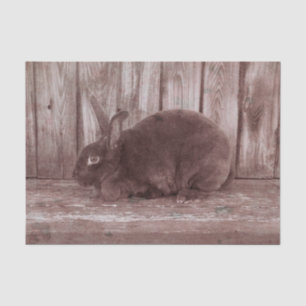 Bunny Rabbit Vintage Brown Easter Tissue Paper