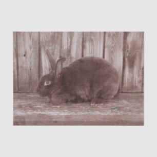 Bunny Rabbit Vintage Brown Easter Tissue Paper