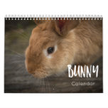 Bunny ( Rabbits )  2023 Calendar at Zazzle