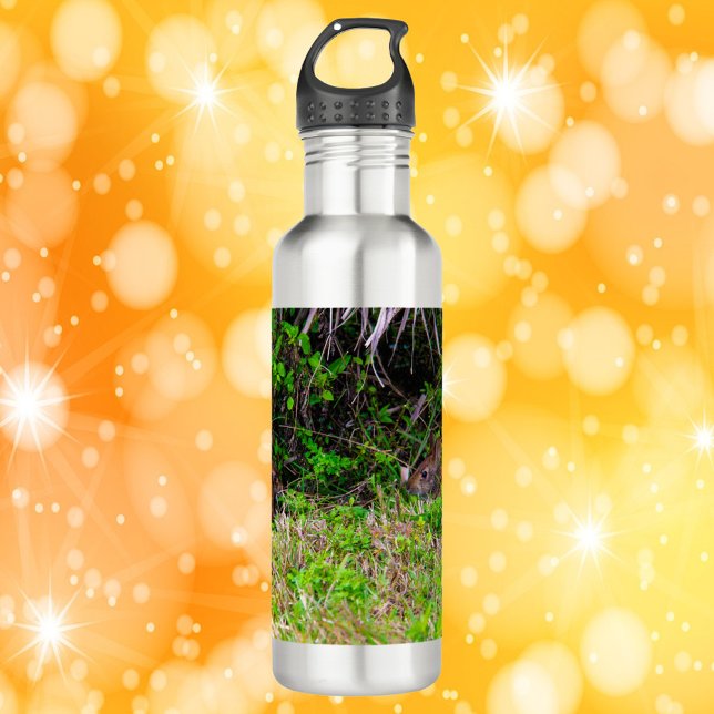 Bunny Rabbits in the Grass Florida Stainless Steel Water Bottle (A cute water bottle with a photo of two bunny rabbits.)