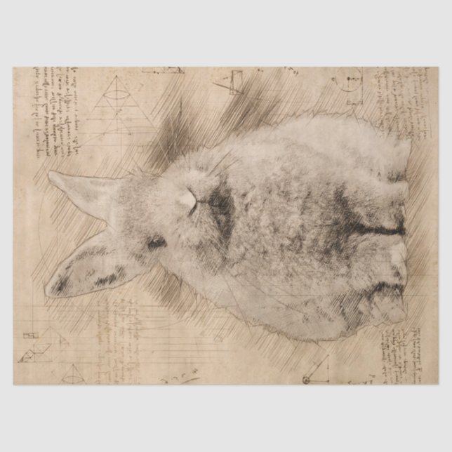 Bunny Rustic Grunge Drawing Tissue Paper (Front)