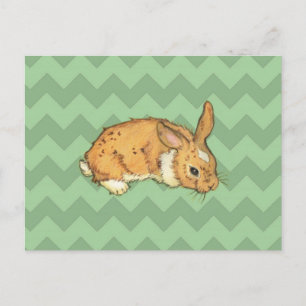 Bunny Sage Chevron Duo Postcard