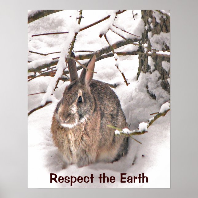 Bunny Seeking Shelter Earth Day Poster (Front)