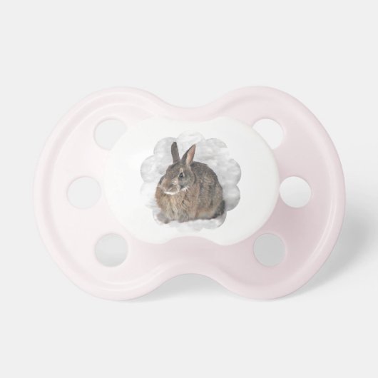 Bunny Seeking Shelter Pacifier (Front)