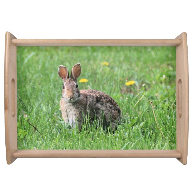 Bunny Serving Tray (Front)