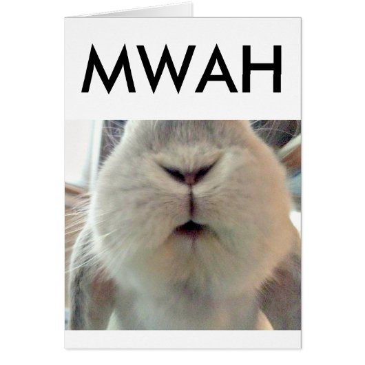 Bunny Smooches Cards (Front)