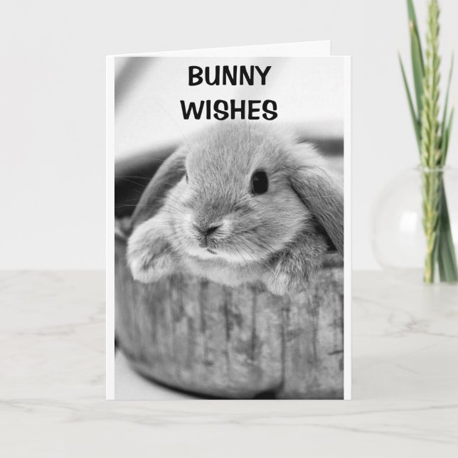 BUNNY "WISHES** AND EASTER **KISSES** HOLIDAY CARD (Front)