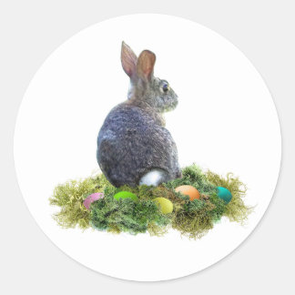Bunny with Colored Eggs in Lichen Classic Round Sticker