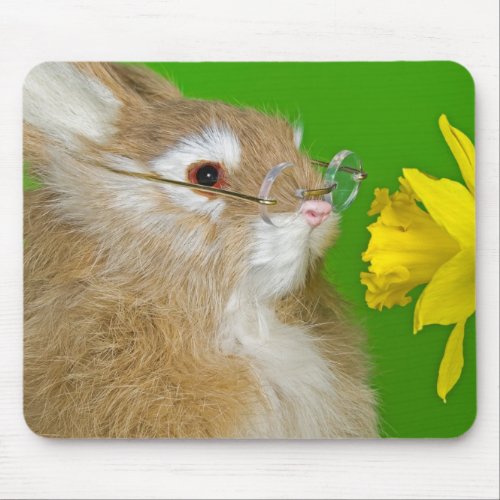 Bunny With Daffodil Mouse Pad