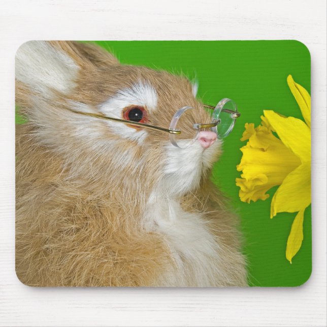 Bunny With Daffodil Mouse Pad (Front)