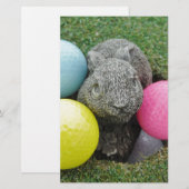 Bunny with pink blue yellow egg (Front/Back)