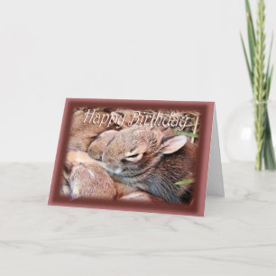 BunnyHBD-customize Card