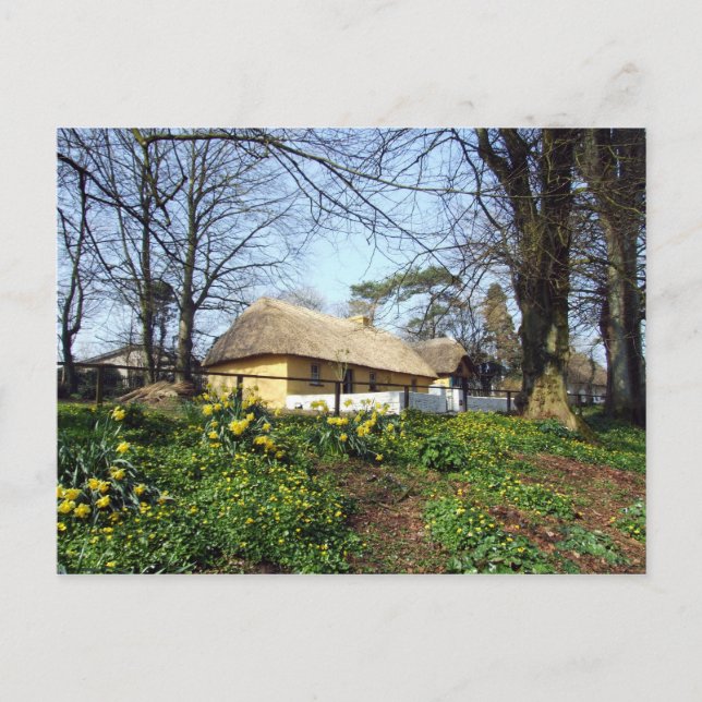 Bunratty Folk Park cottage Postcard (Front)