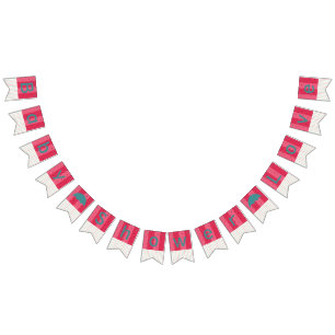 Bunting Baby Shower "Umbrella Watermelon" Bunting Flags