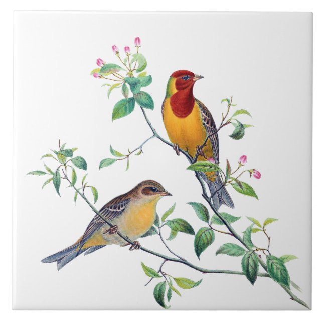 Bunting Birds on Branches Ceramic Tile (Front)