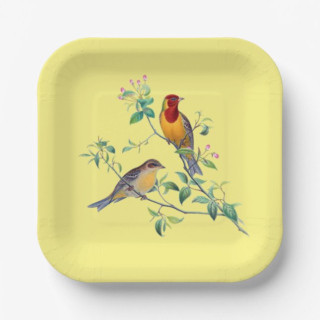 Bunting Birds,  Paper Plates (Front)