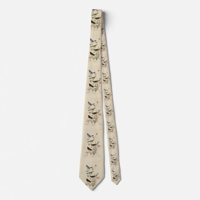 Bunting, Sparrow, Junco, (Finches) Audubon's Birds Neck Tie (Front)