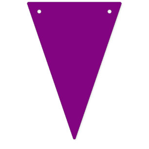 Bunting: Triangular - Multicoloured Bunting Flags