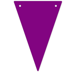 Bunting: Triangular - Multicoloured Bunting Flags