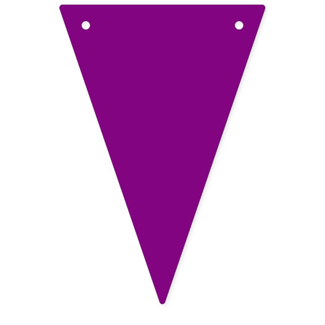 Bunting: Triangular - Multicoloured Bunting Flags (Sixteenth Flag)